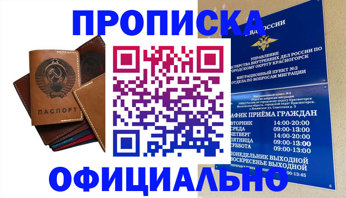 временная прописка в Волоколамске