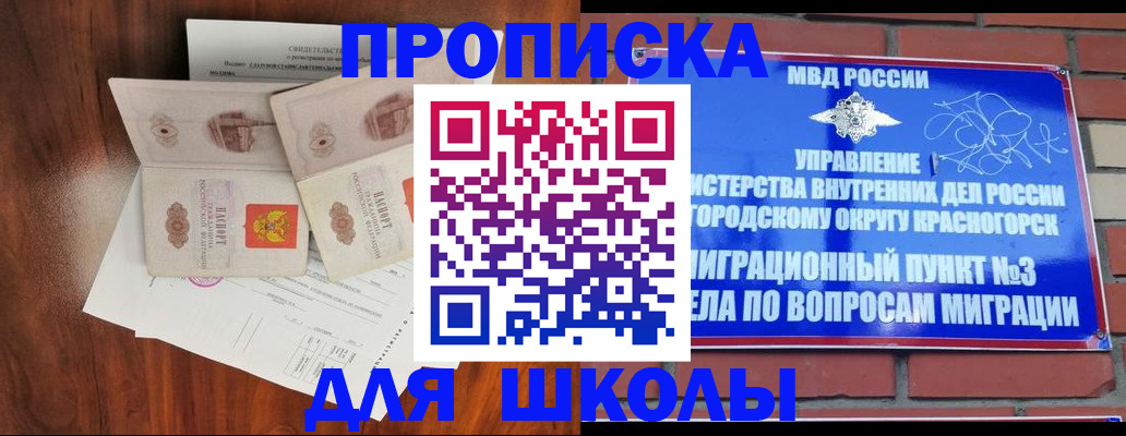 прописка поиск в Волоколамске